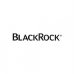BlackRock Partner Advanced Power